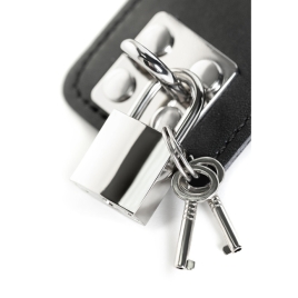 Ошейник с поводком ToyFa Theatre